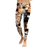 Women Leggings Lovely Cat Hologrephic Digital Print Fitness legging High Waist Workout Pants Casual Street Leggins